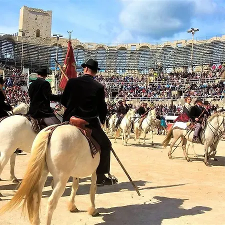 Le Tournesol Des Arenes Wifi Arles